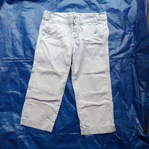 American Eagle Light Gray Cropped Pants